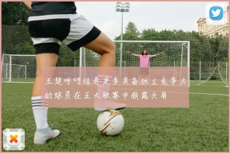 王楚呼吁培养更多具备独立竞争力的球员在五大联赛中崭露头角