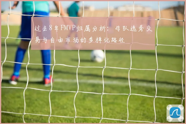 过去8年FMVP归属分析：母队选秀交易与自由市场的多样化路径